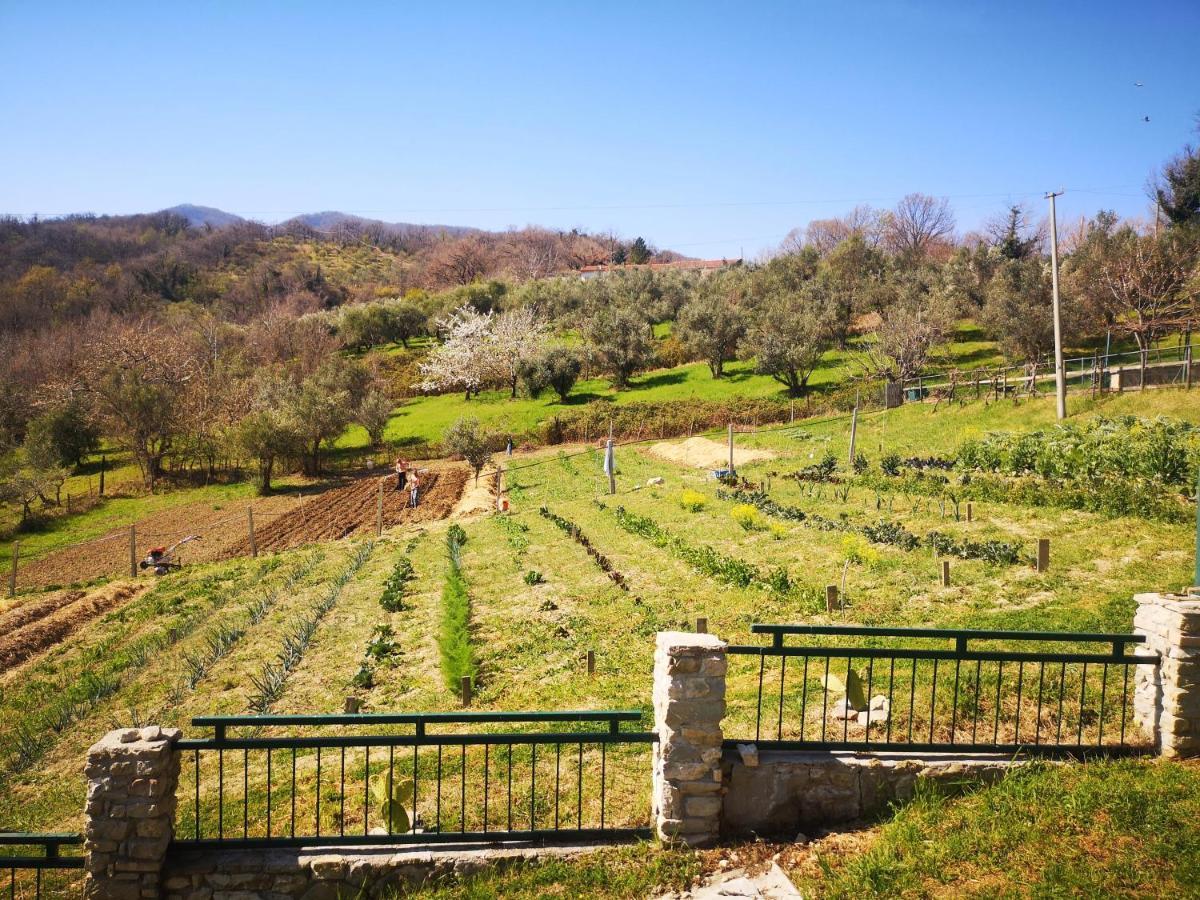 Agriturismo Olimpo Villa Santa Maria  Εξωτερικό φωτογραφία