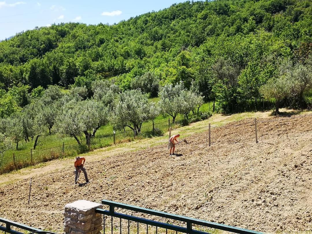 Agriturismo Olimpo Villa Santa Maria  Εξωτερικό φωτογραφία