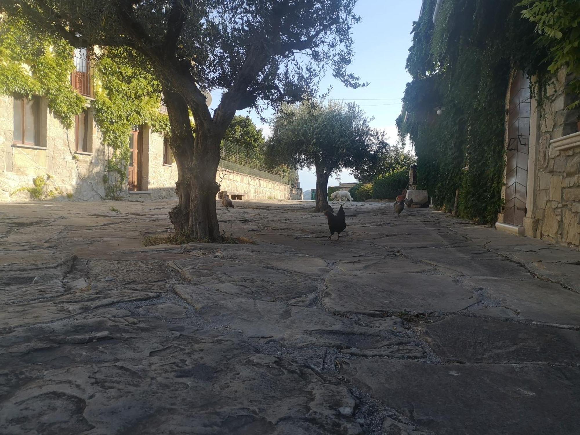 Agriturismo Olimpo Villa Santa Maria  Εξωτερικό φωτογραφία